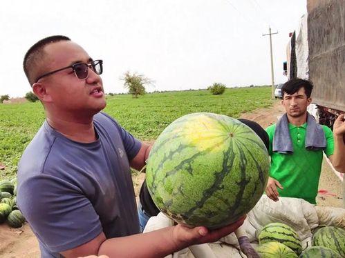 凋零吃瓜,探寻吃瓜背后的故事