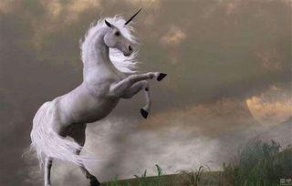 qq独角兽吃瓜,揭秘社交巨头背后的趣味故事