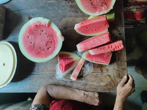 有没有那种吃瓜视频,一网打尽娱乐圈最新动态