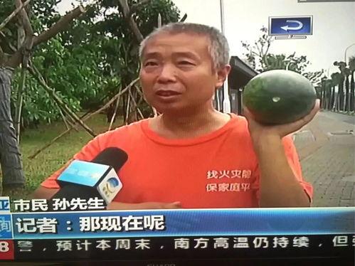 鹰潭吃瓜群众事件最新,网络舆论漩涡中的真相探寻