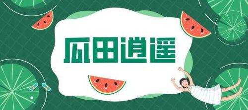 丽江的吃瓜,瓜果飘香，舌尖上的瓜界盛宴