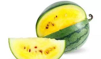 以前吃瓜和最近吃瓜哪个好,新鲜热辣，一网打尽