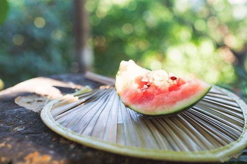 吃瓜能有多厉害,揭秘吃瓜界的神奇力量