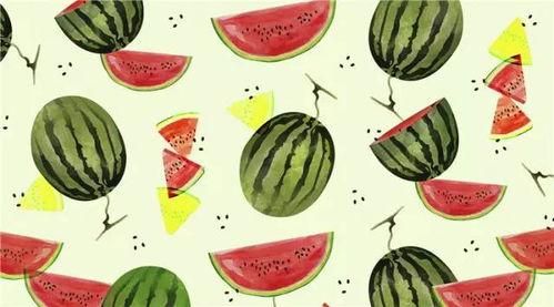 omg吃瓜群众,OMG吃瓜群众背后的故事