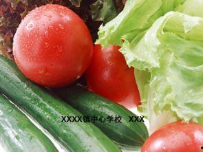 55张ppt吃瓜,吃瓜群众的狂欢盛宴