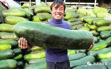 瓜有点吃不起来,揭秘那些让人望而却步的美食之谜