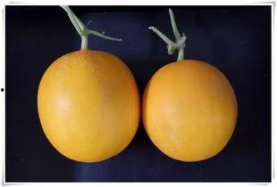 平阴吃瓜群众,揭秘当地生活百态