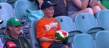 男孩吃瓜意思,揭秘网络热词背后的趣味与思考