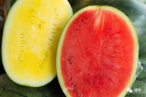 吃瓜如何更高级