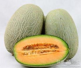 东川吃哈密瓜图片大全