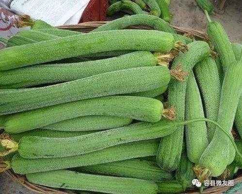 瓜怎么做着吃,创意烹饪指南