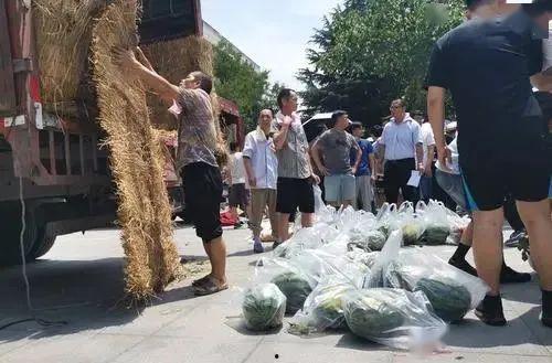 吃瓜西安大学,大学生视角下的城市生活剪影
